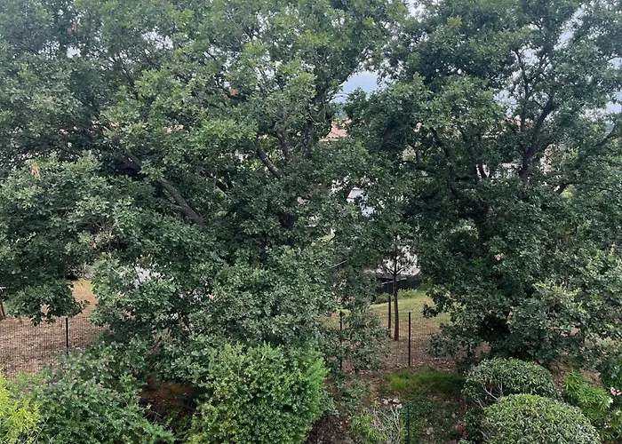 Bel * La Croix-Valmer